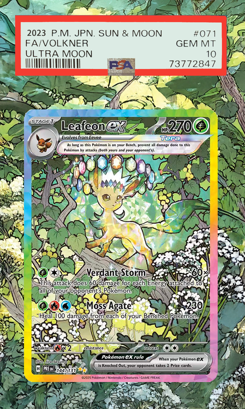 Pokemon Cards Display PTCG Lea - đánh giá và giá Display Case Acrylic