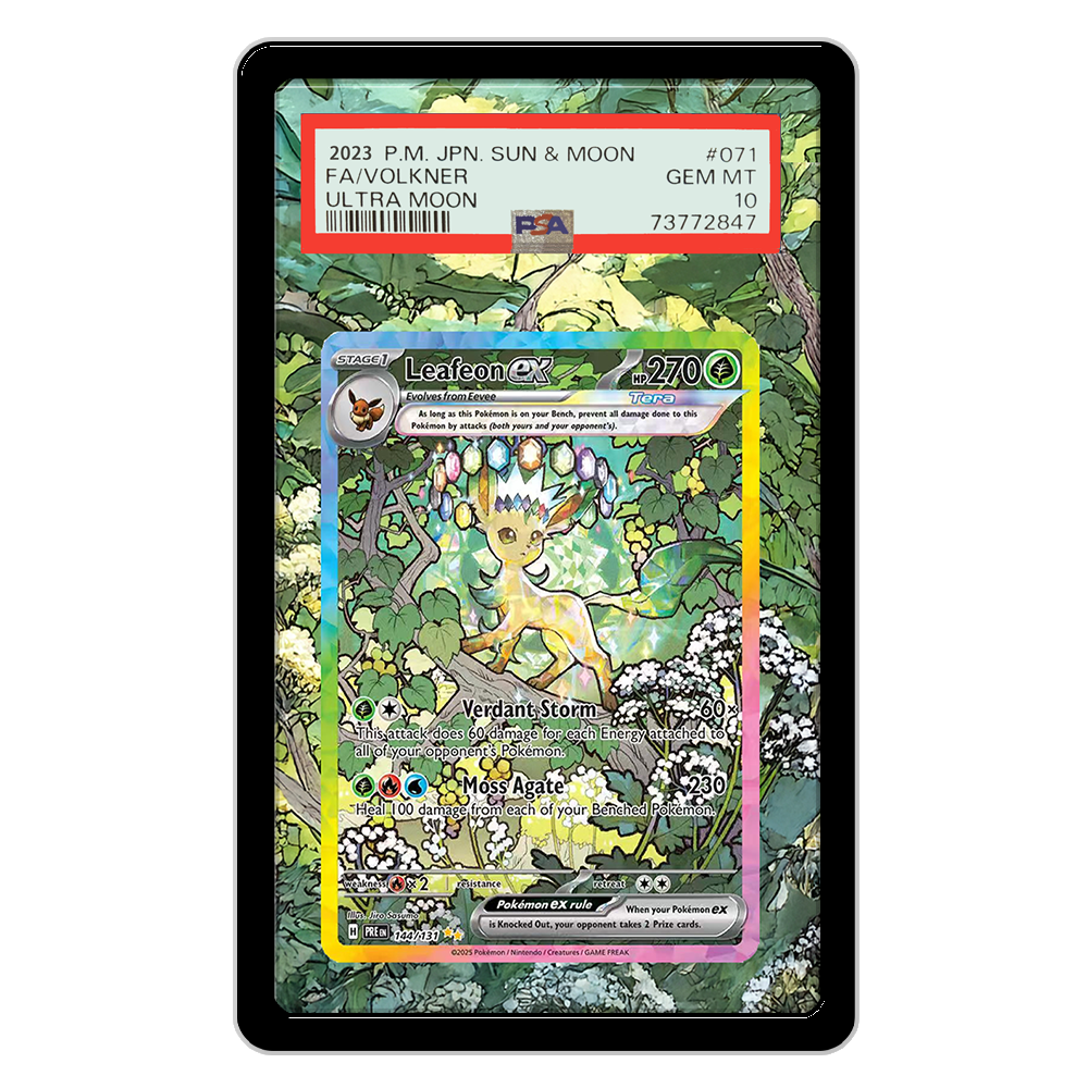 Pokemon Cards Display PTCG Lea - đánh giá và giá Display Case Acrylic